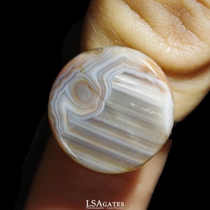 May include: A round, white agate stone with brown and gray banding. The stone has a swirling pattern in the center.