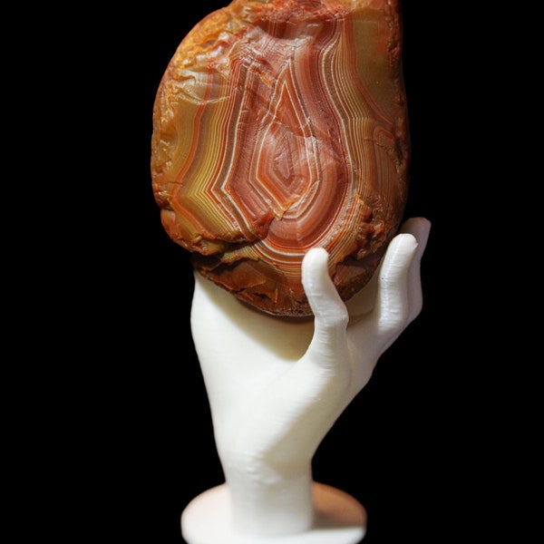 3D Printed Hand Rock Display Stand – Desktop Stone Holder