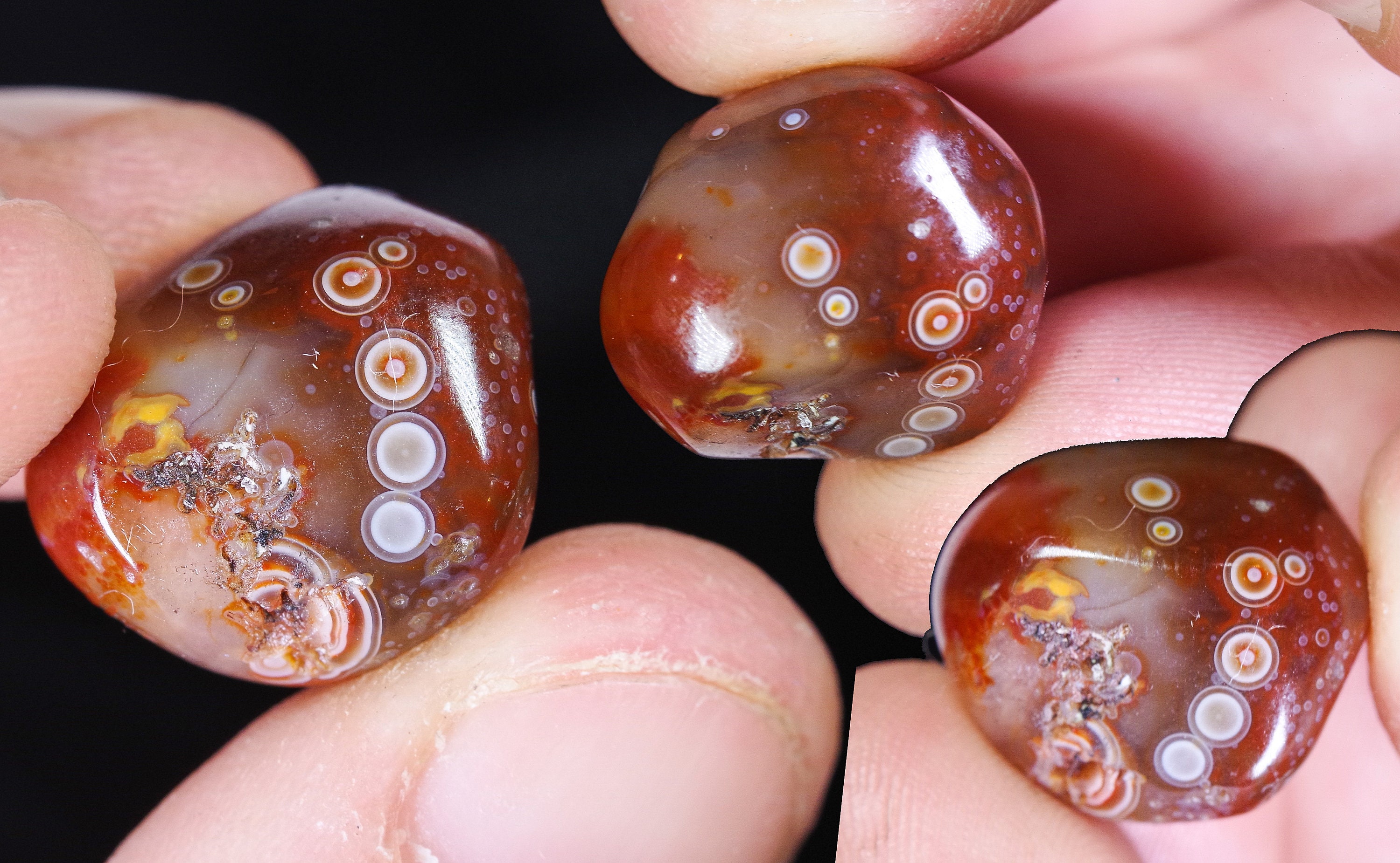 Lake Superior Eye Agates Individually priced or paired for Etsy