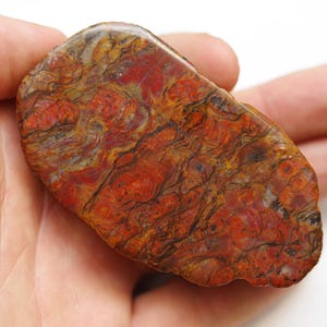 May include: A smooth, oval-shaped red agate stone with intricate patterns of brown, white, and red. The stone has a polished finish and is a natural specimen.