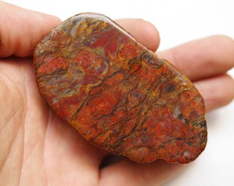 Mary Ellen Jasper - Face Polished - A+ Grade - Billion year old algae Fossil - Unique Rare coloration
