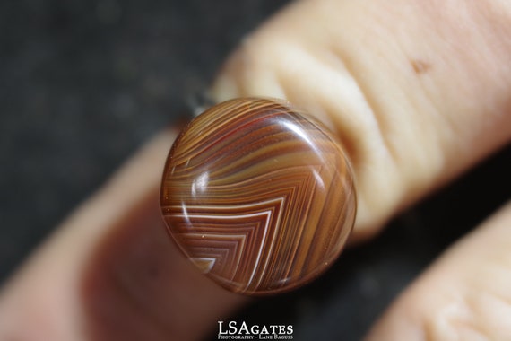 Lake Superior Agate Adjustable Statement Ring - Silver