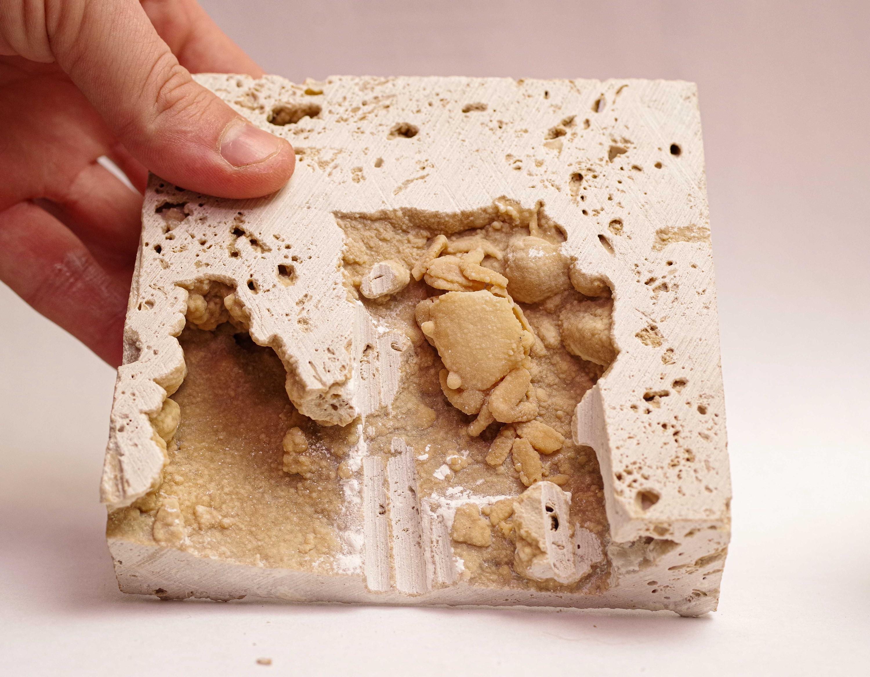 Pleistocene Freshwater Crab Fossil – UV Reactive Calcite Specimen
