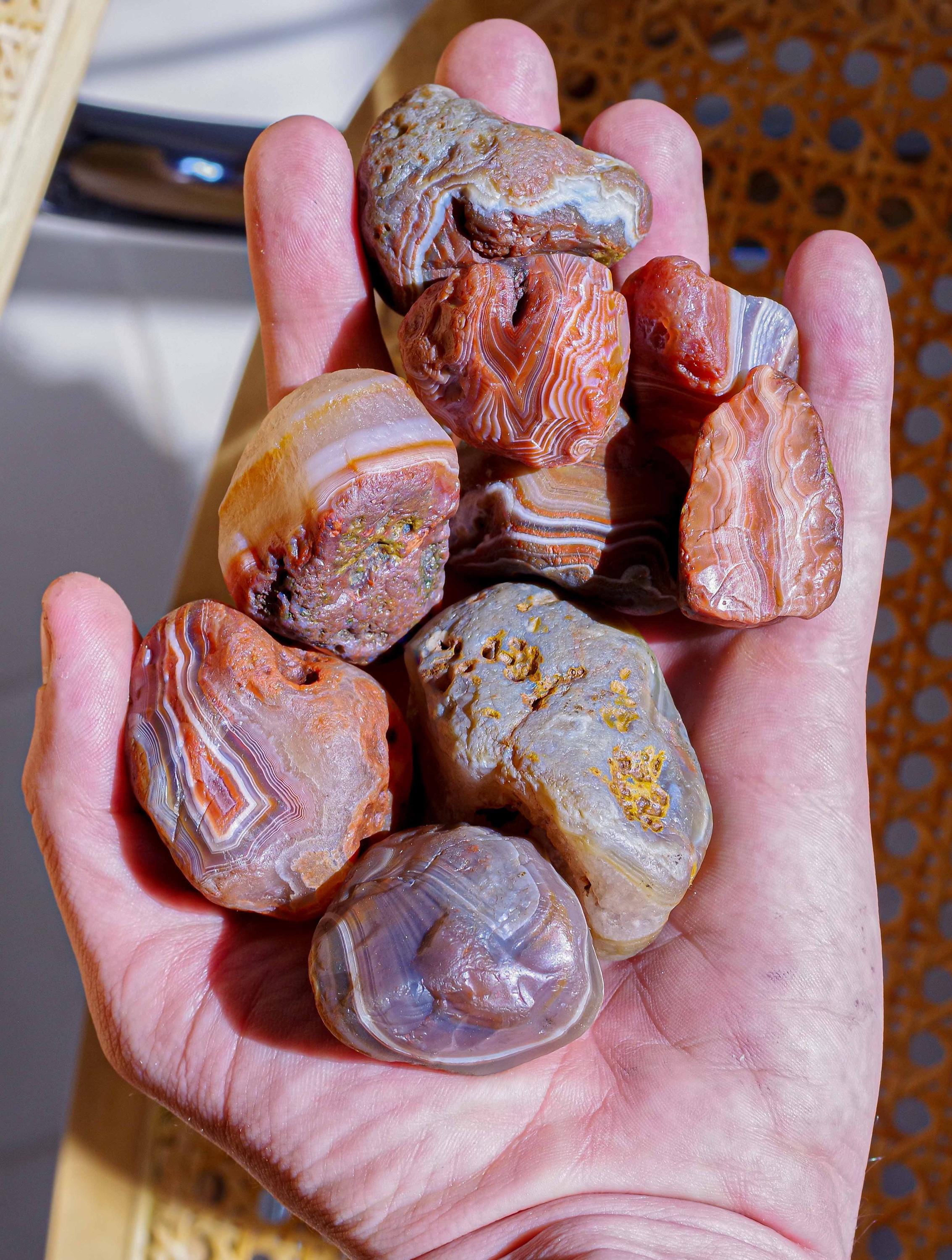 【コレクターズアイテム】タスマニアンアゲート コレクターズアイテム】タスマニアンアゲート コレクターズ