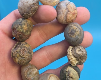 GOBI EYE Agate Bracelet -Antique Circular Agate Beads - Mongolian Gobi Desert Agate Beaded Bracelet - Natural Colors