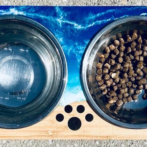 Pet food stand   Ocean art Personalized Pet Bowl Stand: Surfboard Ocean Wave Resin Decor - Etsy