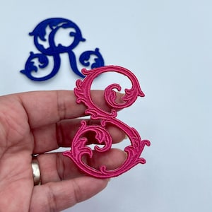 May include: A pink, ornate, decorative letter S with a floral design. The letter is made of fabric and has a raised, three-dimensional appearance.
