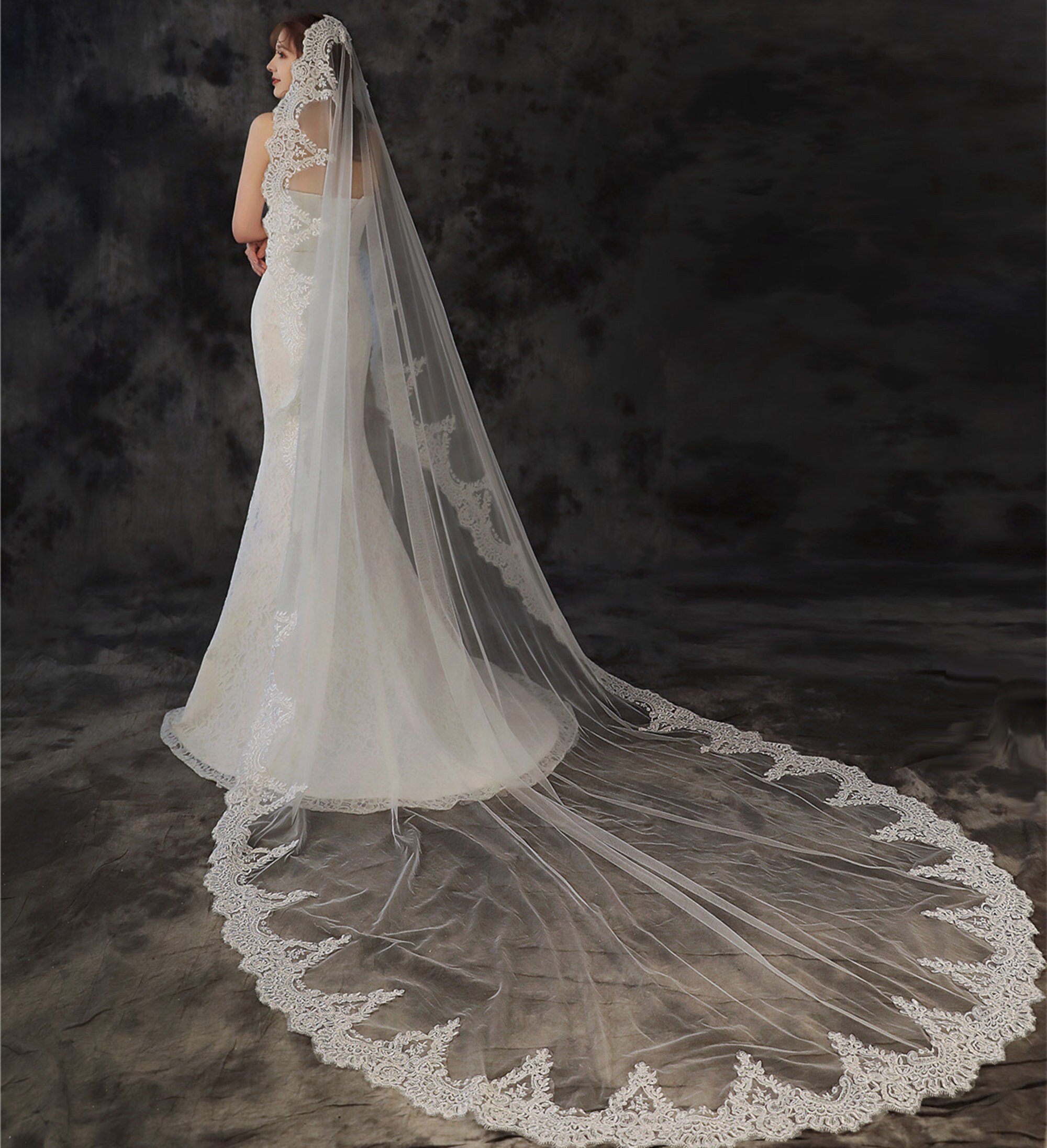Long Cathedral Lace Veil Designer Bride Veil Wide Lace Veil Dramatic Veil Flower Veil Bridal Accessories TSDZ024