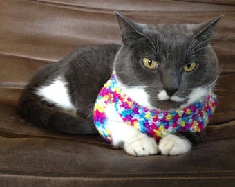 Könnte beinhalten: Eine grau-weiße Katze mit einem bunten gehäkelten Halsband. Die Katze sitzt auf einem braunen Ledersessel.