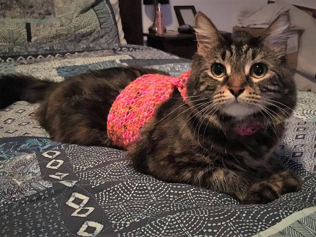 Custom Crochet Cat Sweater 'lulu' Design Etsy