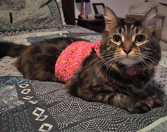 Könnte beinhalten: Eine braune getigerte Katze mit einem rosa gehäkelten Pullover liegt auf einer gemusterten Steppdecke. Die Katze hat grüne Augen und einen weißen Fleck auf der Brust.