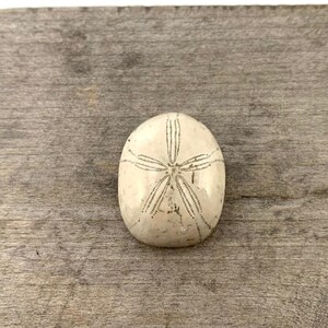 Extra Large Fossil Sea Biscuit Sand Dollar Cabochon 23x30mm