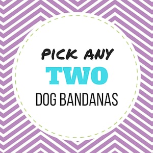 PICK ANY 2 Dog Bandanas (Choose from over 175 fabrics), pet bandana, dog snap bandana, snap dog bandana, dog bandanas, dog collar bandana