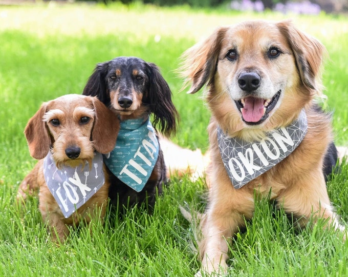 Personalized Dog Bandana with Name • Snap-on Dog Bandana • Custom pet bandana • New puppy gift • Dog mom gift