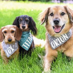 Personalized Dog Bandana with Name • Snap-on Dog Bandana • Custom pet bandana • New puppy gift • Dog mom gift
