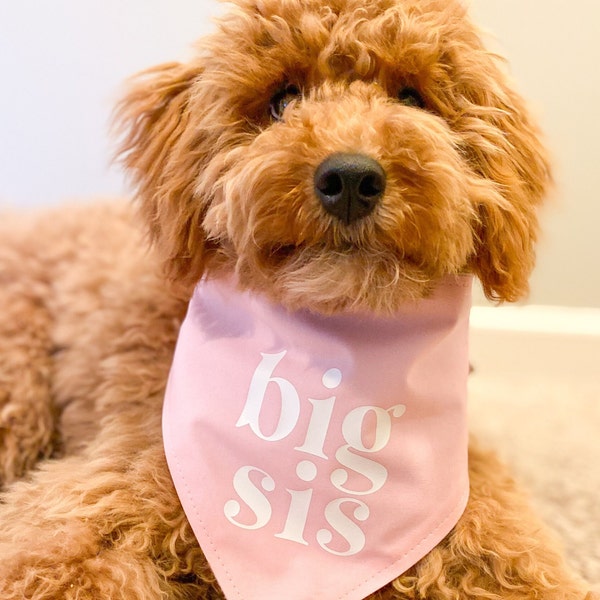 Big Sister Dog Bandana • Pink Big Sis Baby Announcement Bandana • New Dog Sibling • Dog Mom Gift