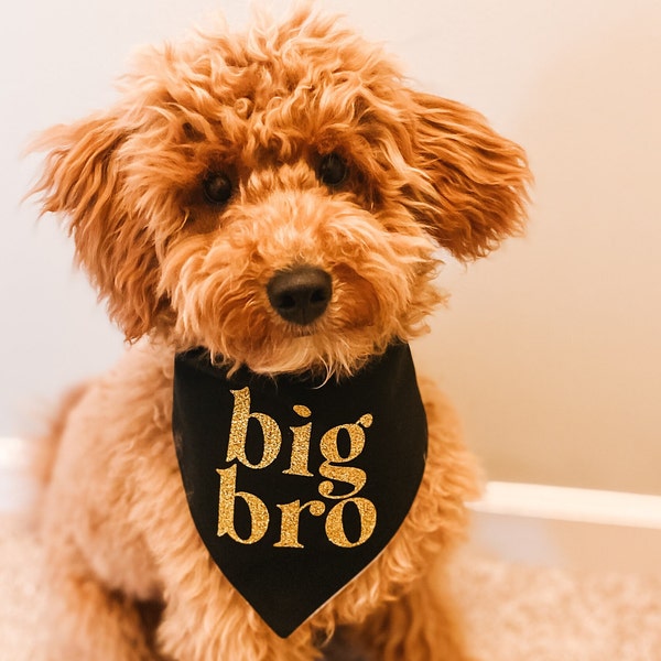 Big Brother Dog Bandana • Big Bro Baby Announcement Bandana • New Dog Sibling • Dog Mom Gift