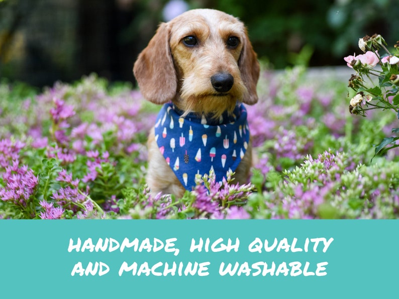 Birthday Dog Bandana PARTY ON WHITE Machine washable pet bandana with snaps Easy snap-on bandana for dogs and cats Customizable.