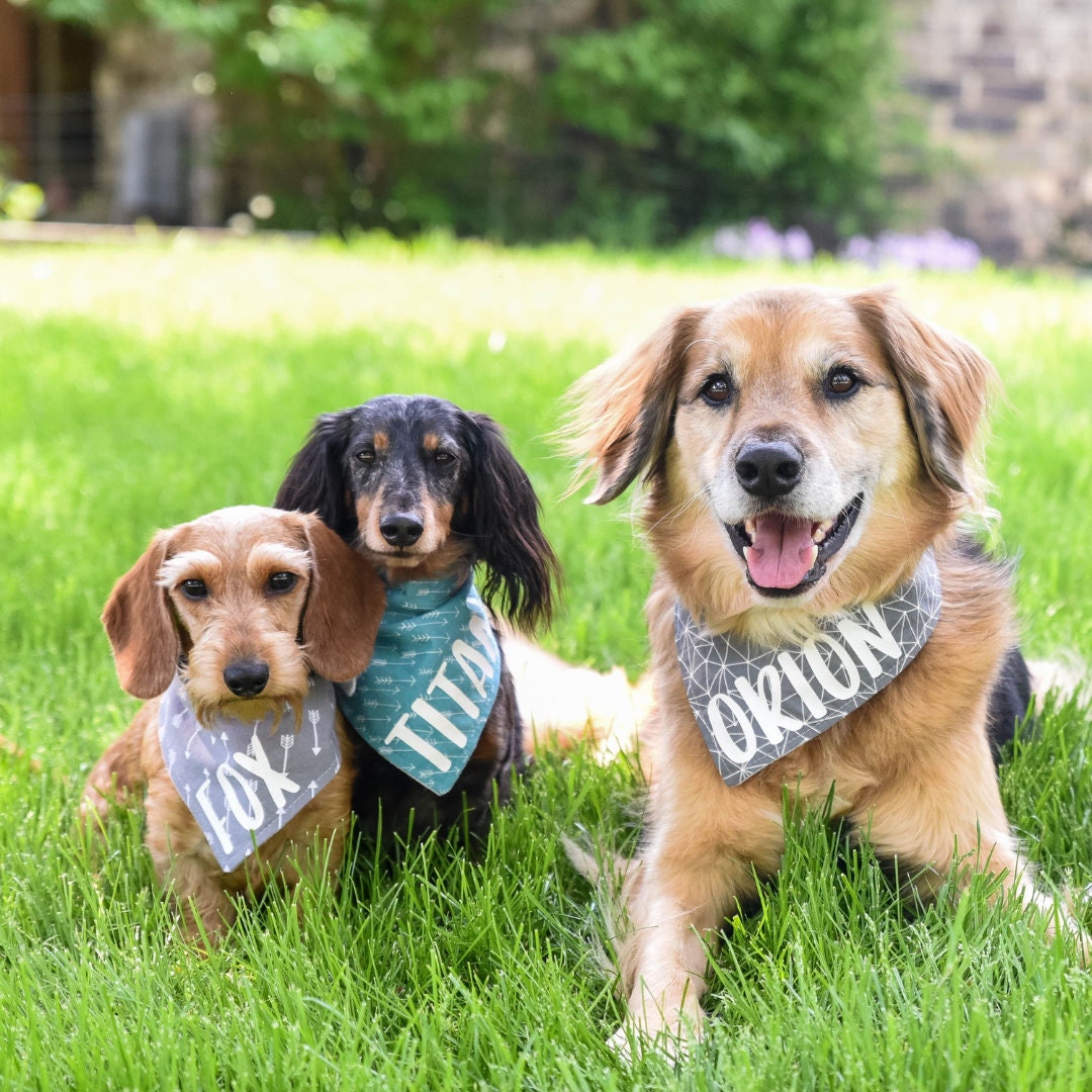 pupcorn dog treats ingredients