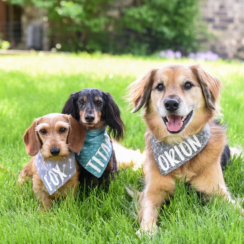 Personalized Dog Bandana with name Machine washable easy image 0