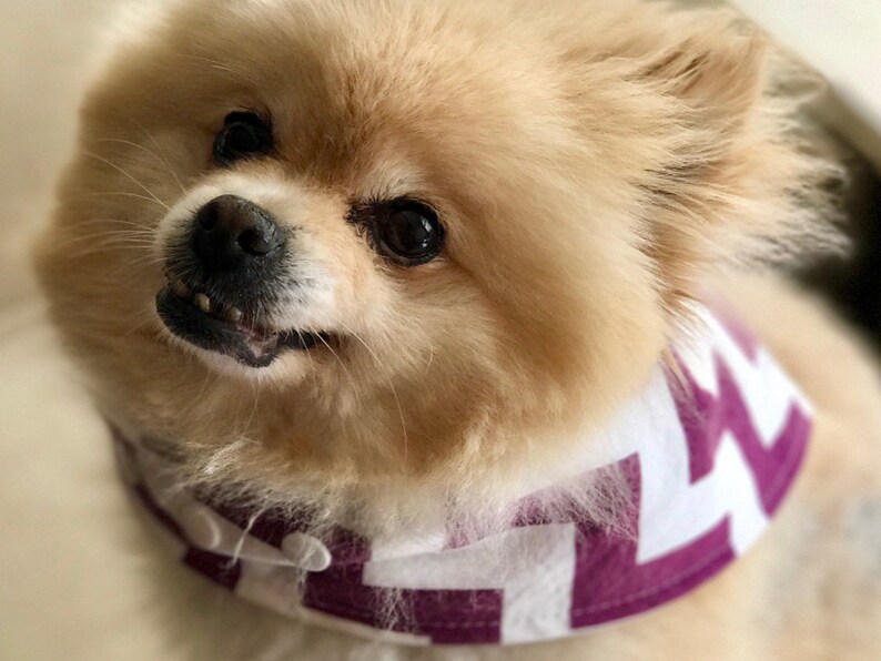 Bandana for Dogs Snap Dog Bandana Dog Bandana with Snaps Snap on Dog Bandana Dog Bandana PINK DEER Easy-on Dog Bandana.