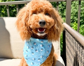 Gotcha Day Dog Bandana (Blue Cupcakes) • Colorful and Fun Bday Blue Birthday Boy Dog Bandana • Dog Party • Confetti • Gotcha Day Cat Bandana