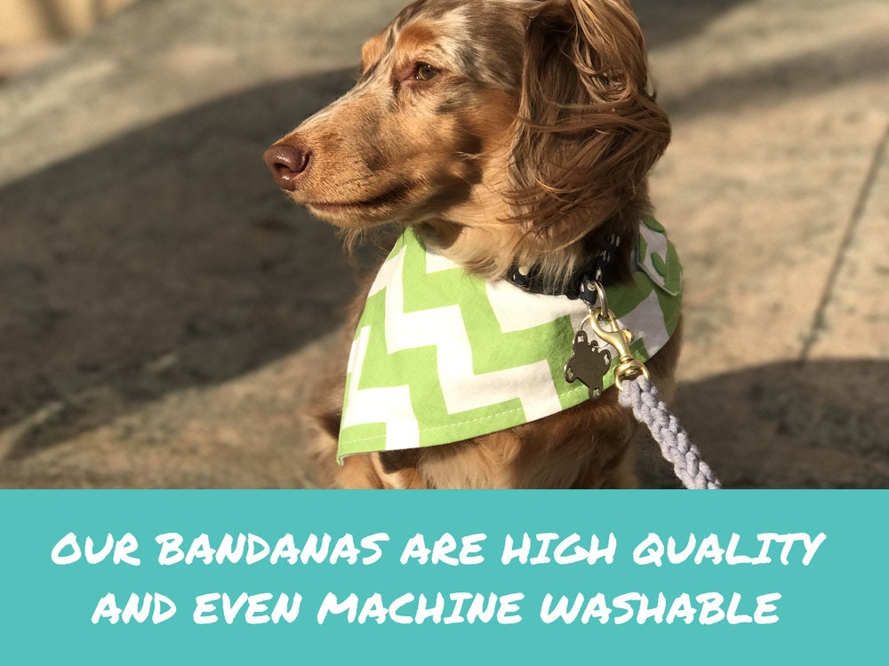 RBG Dissent Collar Dog Bandana Ruth Bader Ginsburg snapon Etsy