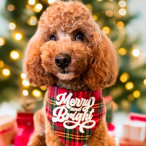Merry and Bright Dog Bandana - Reversible Christmas Plaid pet bandana with snaps. Cozy vibes pet gift, dog stocking stuffer, merry & bright