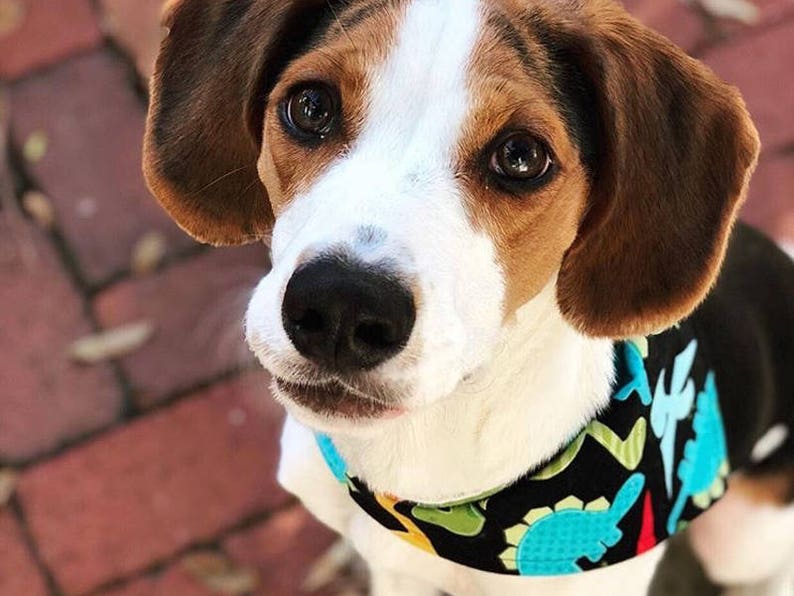 Sm custom dog gift Dog Bandana BIG RED HEARTS machine washable dog bandana Valentine/'s Day dog bandana with snaps Ready to Ship