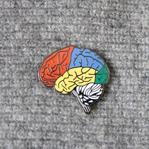 Brain anatomy hard enamel pin with locking backs