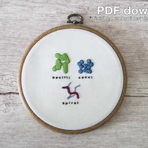 Bacteria Shapes Scientific Hand Embroidery Pattern - PDF Instant Download - Beginner Level - Materials not included