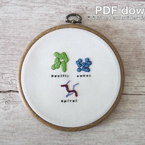 May include: Embroidery hoop with a white fabric background featuring three types of bacteria: bacilli, cocci, and spiral. The bacilli are green, the cocci are blue, and the spiral is red.