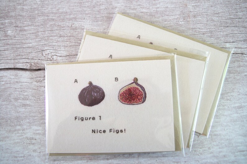 Nice Figs Publication Figure Greeting Card Single Etsy