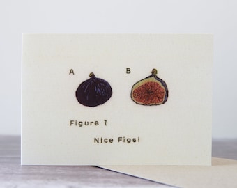 Nice Figs Publication Figure Greeting Card - Single