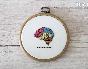 Brain Anatomy DIY Scientific Hand Embroidery Kit - Intermediate Level