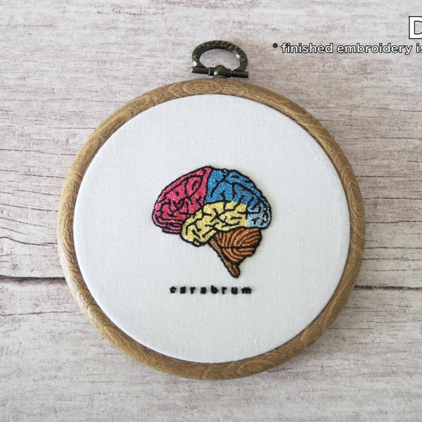 Brain Anatomy DIY Scientific Hand Embroidery Kit - Intermediate Level