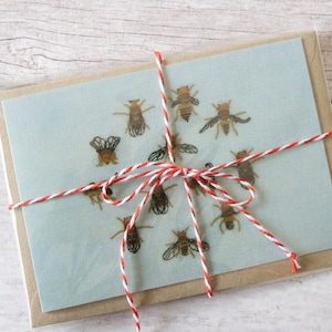 Tarjeta de felicitación de mutantes Drosophila Melanogaster - Múltiple