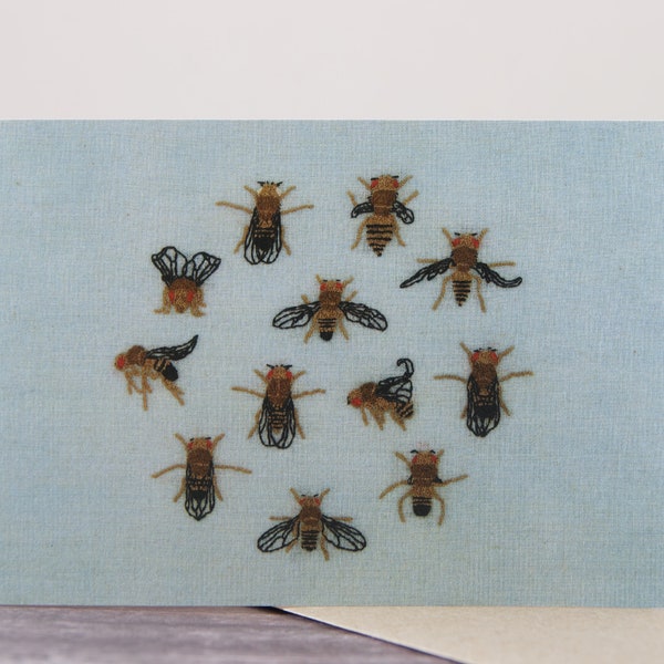 Drosophila Melanogaster Mutants Greeting Card - Single