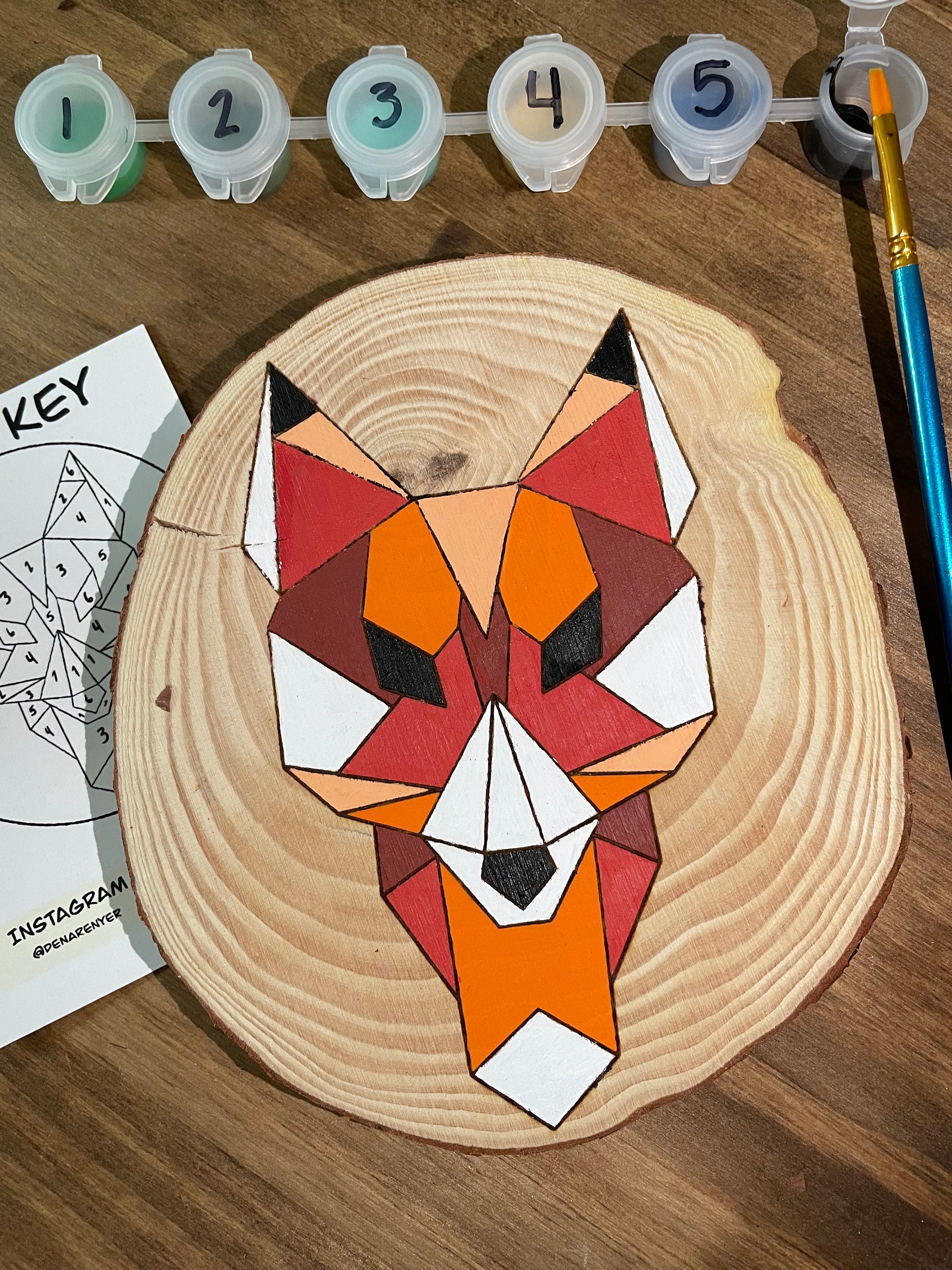 Paint By Number Wood Round Wall Hanging Kit Etsy