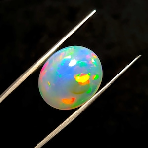 May include: A vibrant, oval-shaped opal gemstone, held by silver tweezers against a black background. The opal displays a play of color with flashes of blue, yellow, orange, and green.