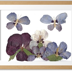 Zwei Schmetterlinge Druck, Butterly Gift, Schmetterling gepresste Blumenkunst