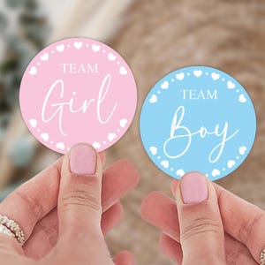 Team Boy or Team Girl Gender Reveal Stickers, Pink or Blue Gender Party Favor Stickers, Gender Sticker Set, Baby Gender Voting Stickers