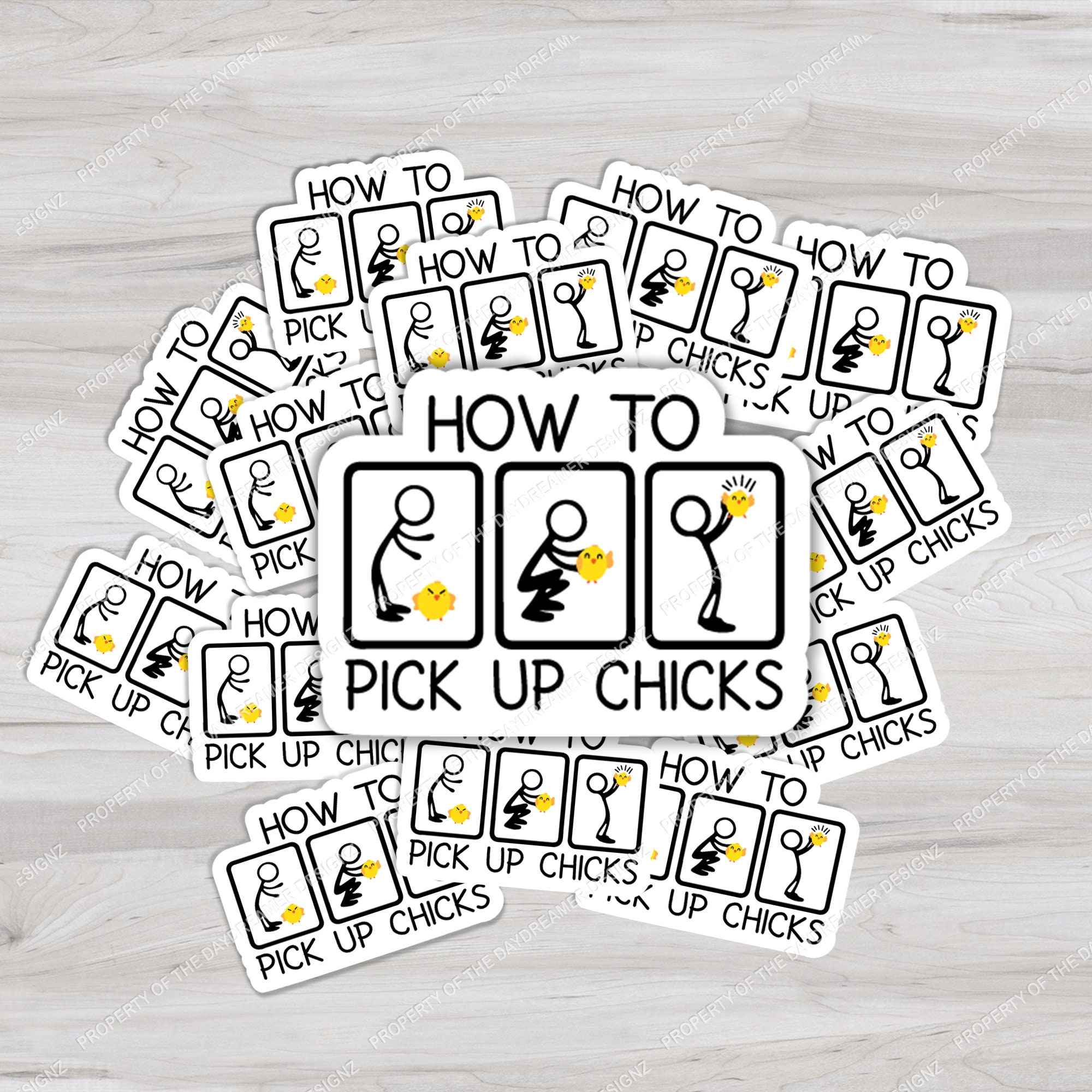 How to Pick up Chicks Sticker | Water Bottle Sticker | Laptop Sticker ...
