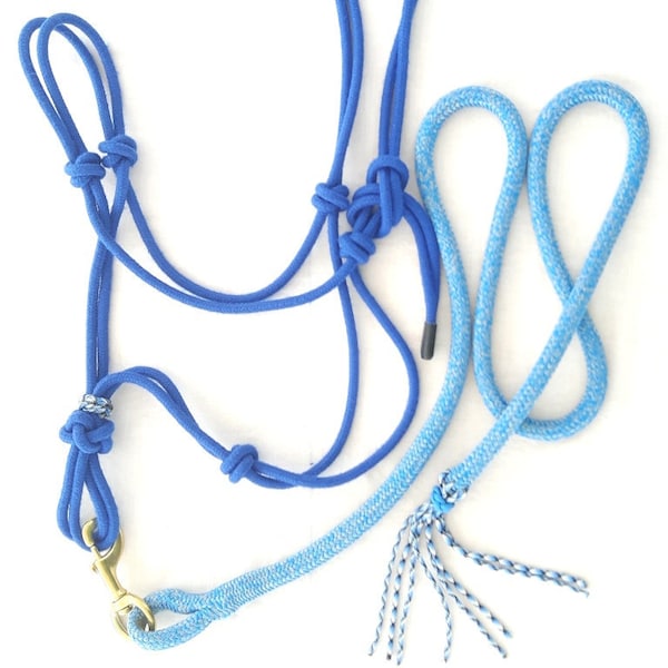 Heavy/Draft Horse Halter with Lead Rope