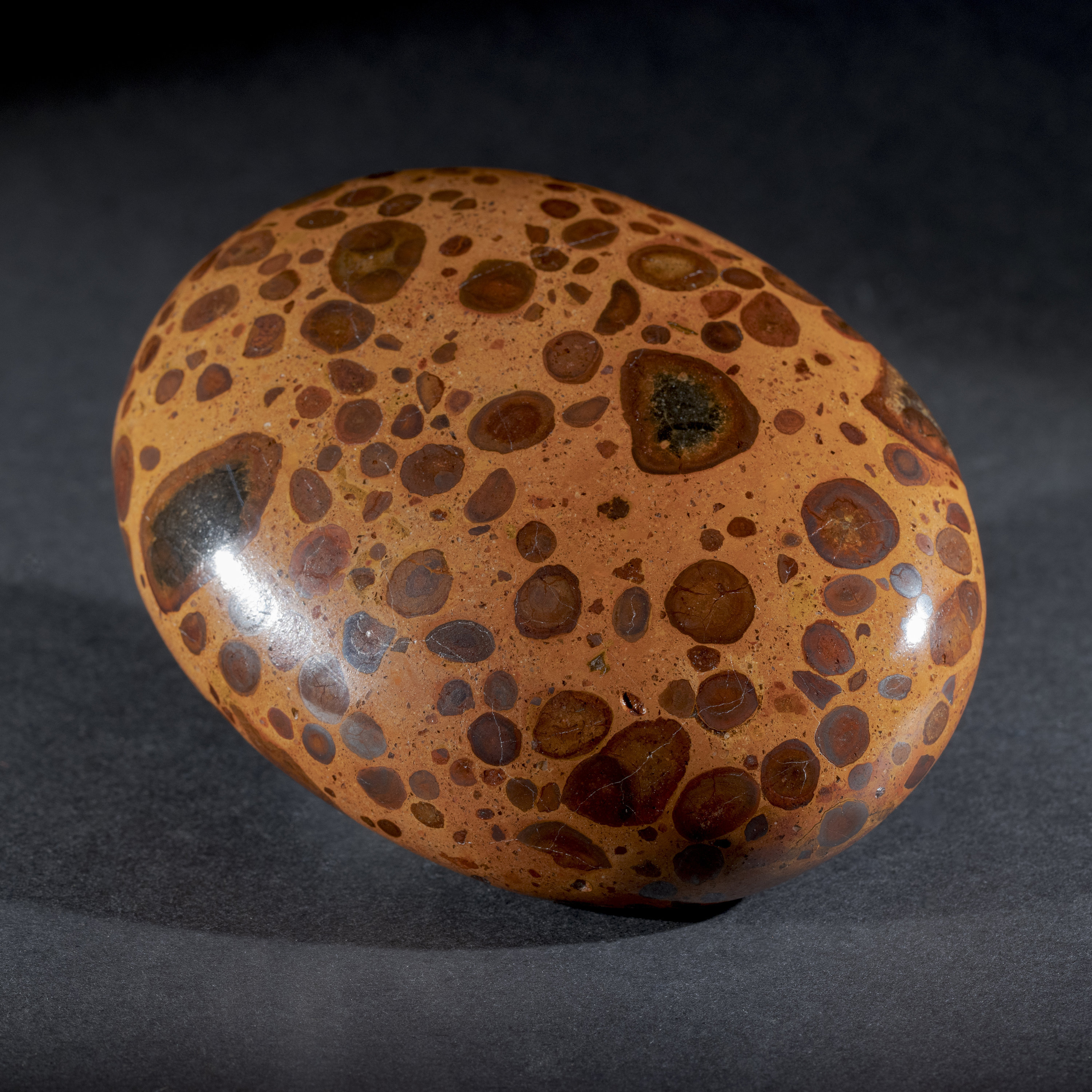 Large Bauxite palm stone 91x70mm Etsy