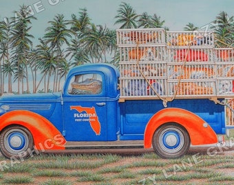 Florida Gators 'Fresh Catch of the Day' - Classic Art Print by Steve Ford