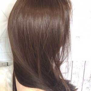 May include: A long, straight, brown wig with a natural-looking parting. The wig is styled in a simple, sleek way, with the hair falling straight down the back.