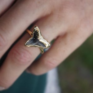 Ring haaientanden | Haaientandring | Fossiele haaientandring | Fossiele haaientandring | Zwarte versteende haaientandring | Fossiele ring