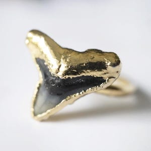 Pode incluir: Um anel banhado a ouro com um design de dente de tubarão. O dente é preto e branco com bordas douradas. Este anel distinto é uma peça de joalheria única, ideal para quem gosta de acessórios com tema oceânico.