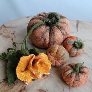 Könnte beinhalten: Eine Sammlung handgefertigter Filzkürbisse in verschiedenen Größen, mit grünen Stielen und orange-braunen Farben. Eine große Filzblume mit gelben Blütenblättern und grünen Blättern ist ebenfalls vorhanden, was ein Herbstthema suggeriert.